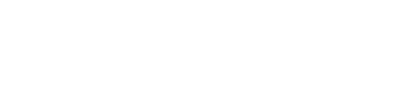 carduplogostraightwhite_solid shadow-2